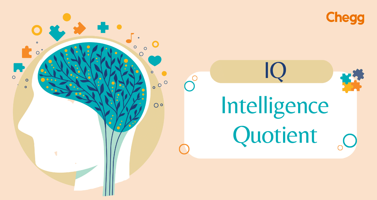 Surprising Factors That Affect Your IQ – Iqtester.org